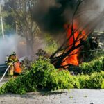 WhatsApp Image 2025-08-11 at 5.06.33 PM