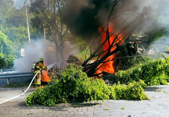 WhatsApp Image 2025-08-11 at 5.06.33 PM