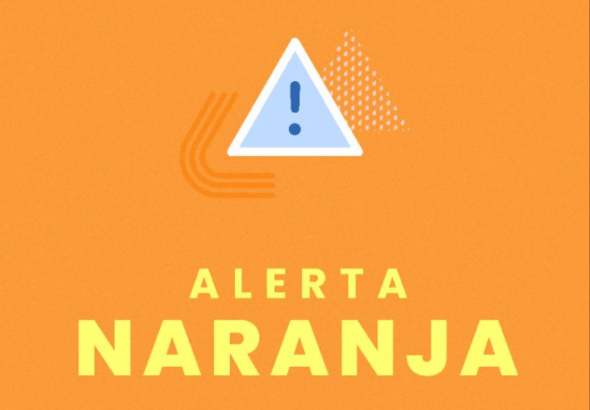 Leydin comsv nacional bueno (65)