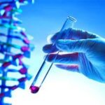 Pollo Campestre fortalece tradiciones y celebra la Navidad junto a las familias salvadoreñas