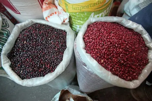 Fortalecimiento de la economía agrícola a través del aumento en granos básicos