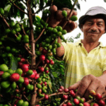 Mario Durán reafirma compromiso de ordenar los espacios públicos en San Salvador Centro