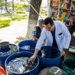 Tránsito genera más emergencias en cierre de año, según Protección Civil