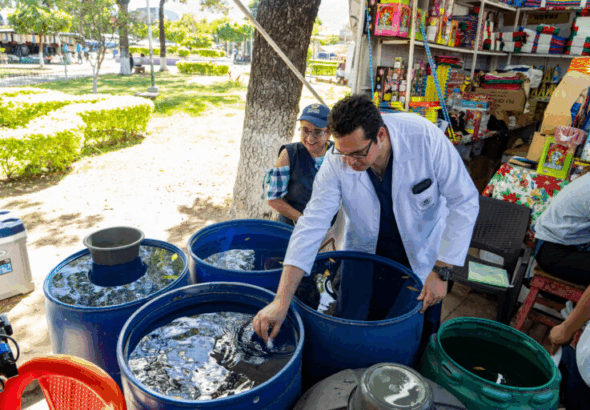 San Salvador Centro refuerza inspecciones en venta de pólvora por Fin de Año