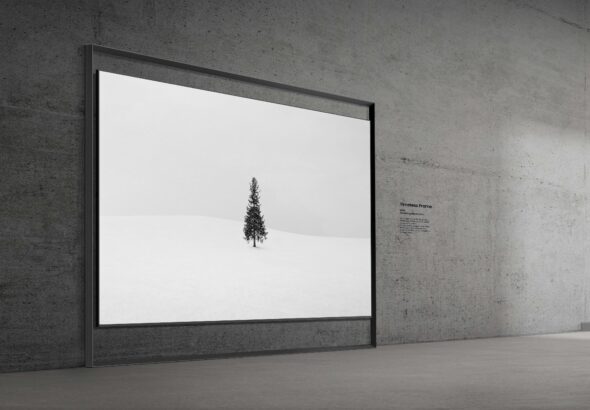 TV Micro RGB de 130 pulgadas del mundo -1