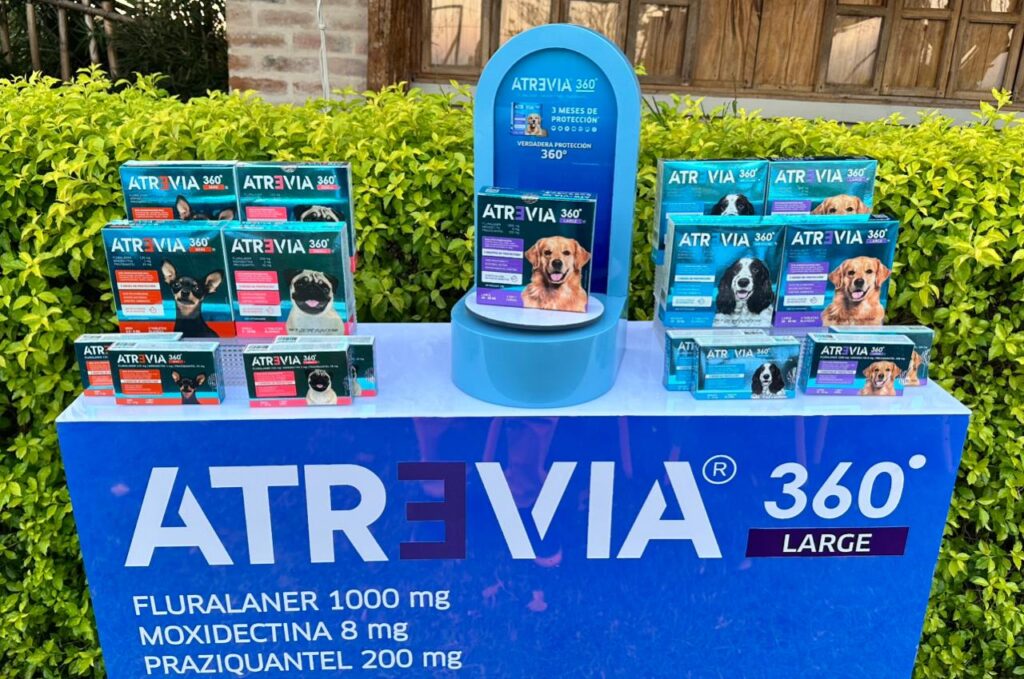 WhatsApp Image 2026-01-15 at 5.50.43 PM (1)