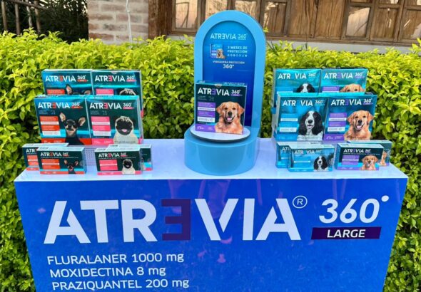 WhatsApp Image 2026-01-15 at 5.50.43 PM (1)