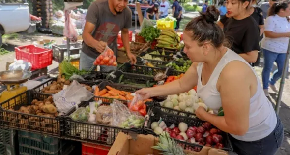 Alimentos lideran la deflación en El Salvador durante diciembre