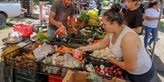 Alimentos lideran la deflación en El Salvador durante diciembre