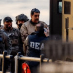 Claro El Salvador impulsa la conservación con liberación de tortugas Golfina