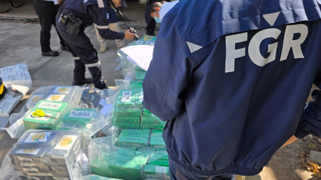 Autoridades eliminan más de 43 kilos de droga decomisada