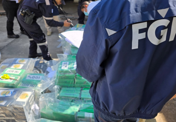 Autoridades eliminan más de 43 kilos de droga decomisada