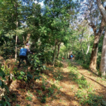 La IA impulsa una nueva era de salud preventiva más inteligente, personalizada y accesible