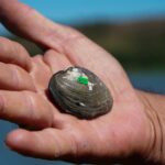 18 emprendedores llevarán sus productos a UsuMarket