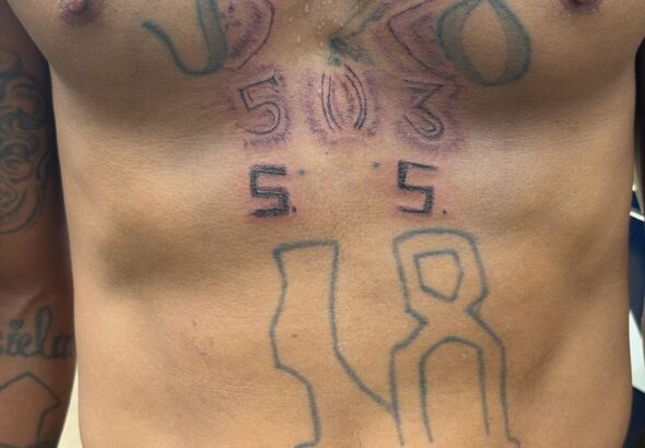 Cooperación internacional permite captura de pandillero en México