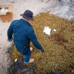 Autorización judicial desata polémica en España