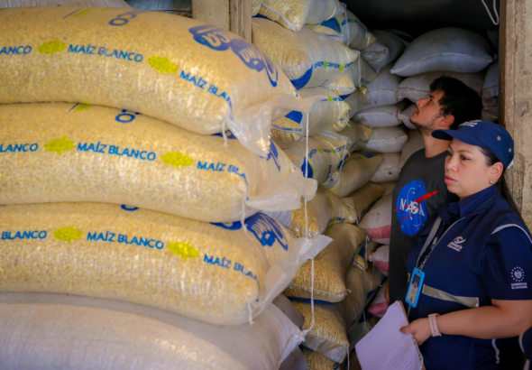 Detectan intermediarios que encarecen el precio del maíz