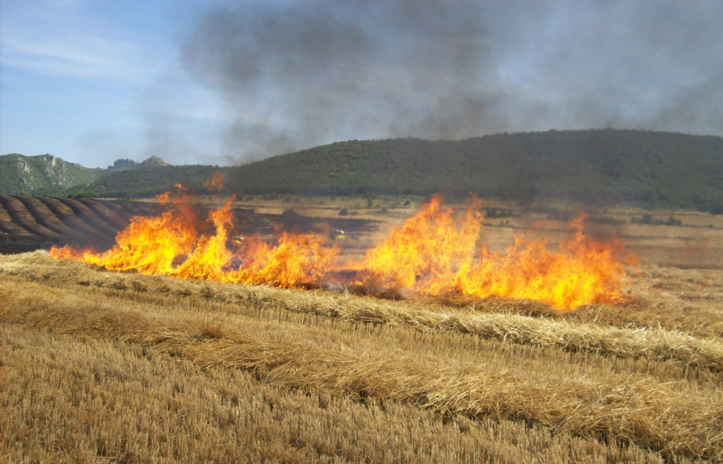 Gobierno prohíbe quemas por riesgo de incendios