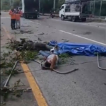 Lluvias llegarán gradualmente y podrían venir con canícula temprana