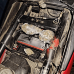 Tragedia en carretera CA-4 provoca alerta roja por sustancia tóxica