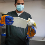 Nutella en el espacio: estudio de SHIFT Latam Porter Novelli revela cómo un momento no planificado en Artemis II se convirtió en fenómeno global