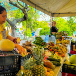 MAG desmiente límites de compra en AgroMercados