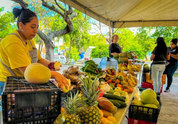 MAG desmiente límites de compra en AgroMercados