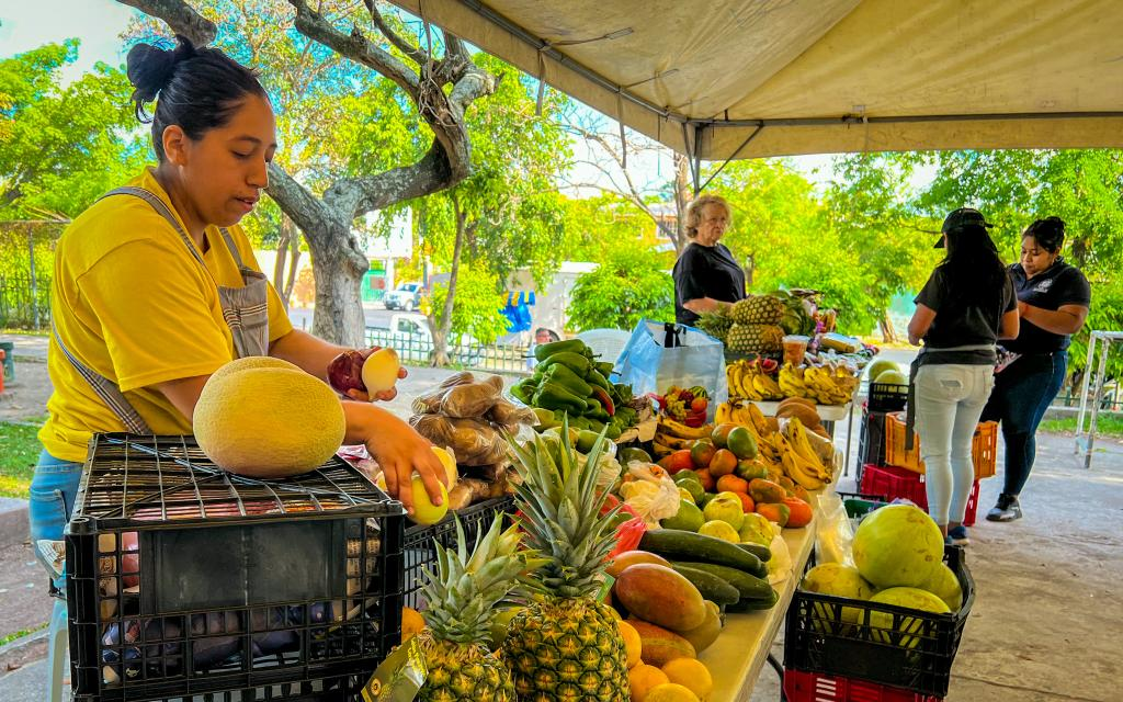 MAG desmiente límites de compra en AgroMercados