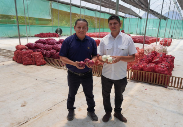 Walmart impulsa el desarrollo agrícola en Chalatenango a través del programa Tierra Fértil
