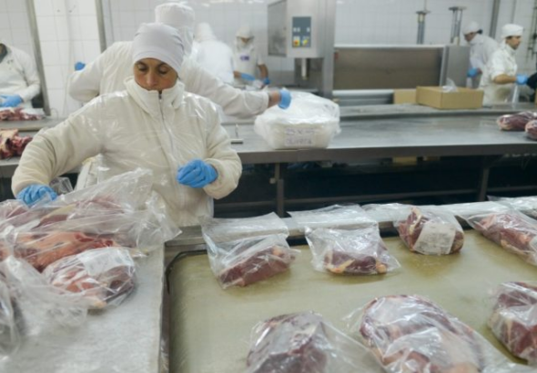 MAG ampliará facultades para certificar productos cárnicos, lácteos y pesqueros tras reformas aprobadas