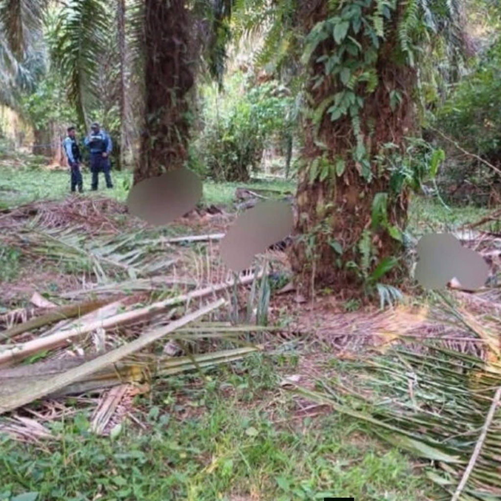 Autoridades investigan ataque armado que dejó múltiples víctimas en Trujillo, Honduras
