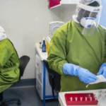 Investigan hallazgo de restos humanos dentro de un cocodrilo en río de Sudáfrica