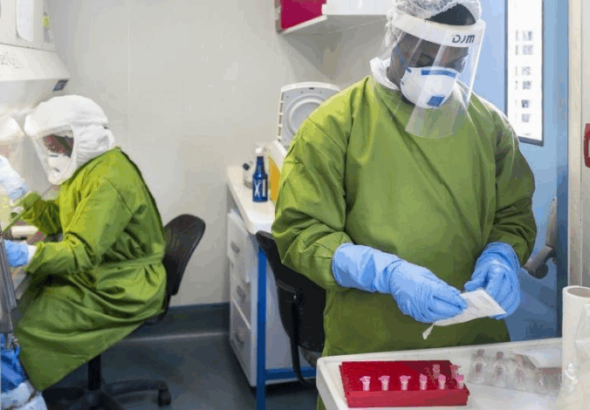 OMS mantiene bajo el riesgo internacional por casos de virus Nipah en India