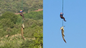 Investigan hallazgo de restos humanos dentro de un cocodrilo en río de Sudáfrica