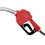 Más de 900 turistas llegan a El Salvador a bordo del crucero Volendam