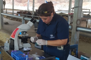 Productores ganaderos reciben apoyo veterinario mediante diagnósticos especializados