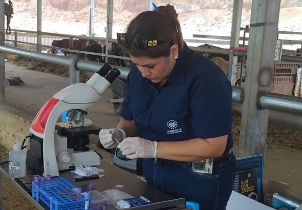 Productores ganaderos reciben apoyo veterinario mediante diagnósticos especializados