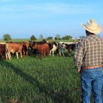 Gobierno impulsará apoyo al sector ganadero junto a nueva regulación de productos lácteos