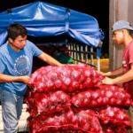 Cargamento de cocaína valorado en más de US$11 millones llevaba la imagen de Haaland en sus paquetes