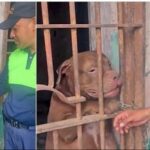 Francisco Morazán y su vínculo con El Salvador: sus restos ya reposan en el Centro Histórico