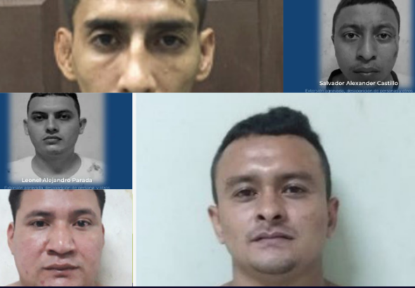 Imponen hasta 626 años de cárcel a pandilleros de la clica Park View Locos Salvatruchos de la MS-13